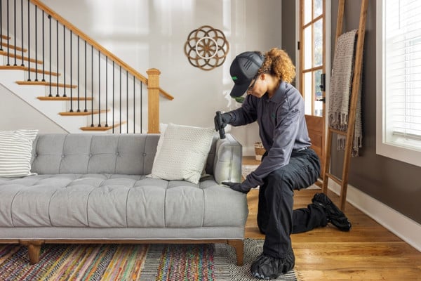 tech inspecting couch for bed bugs