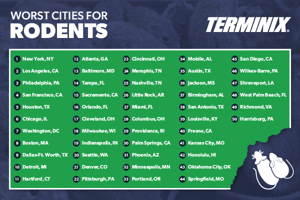 infographic of worst cities for rodents