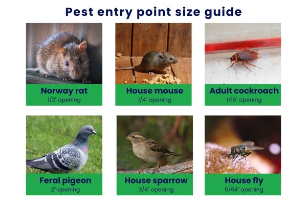 Pest Exclusion Solutions for Your Commercial Facility | Terminix