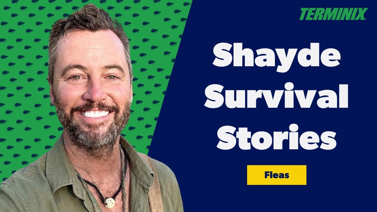 Andrew Shayde flea survival stories