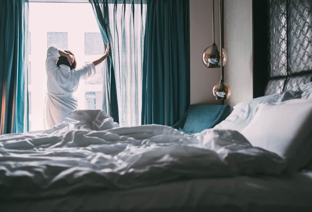 What the Bed Bug Life Cycle Means for Hotels