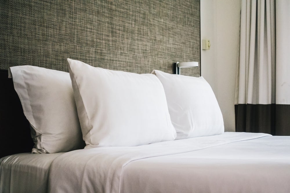 ed-bugs-in-hotel-room-min