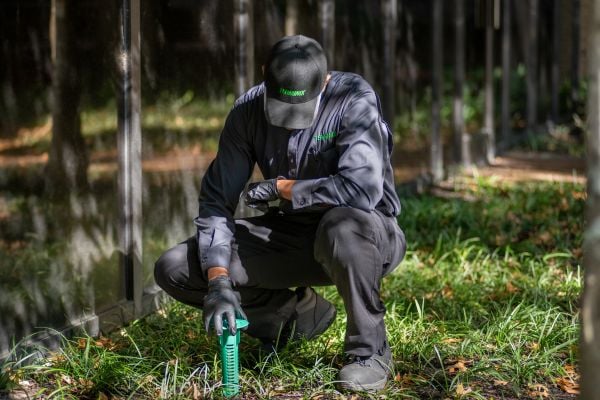 Bait systems