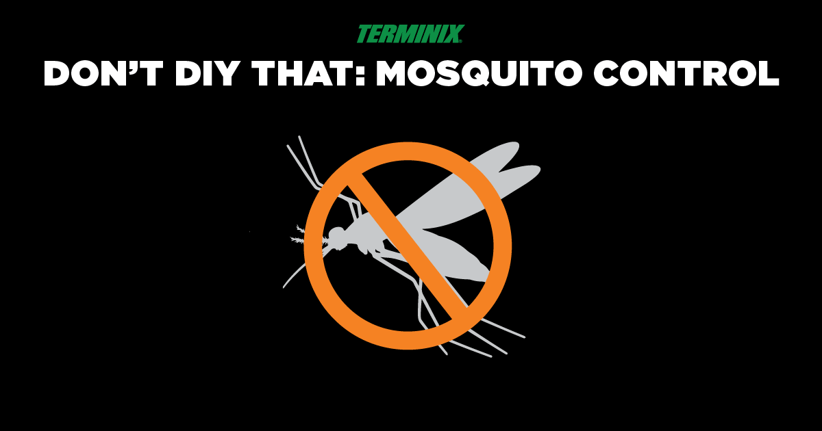 dont-diy-mosquito-control-main