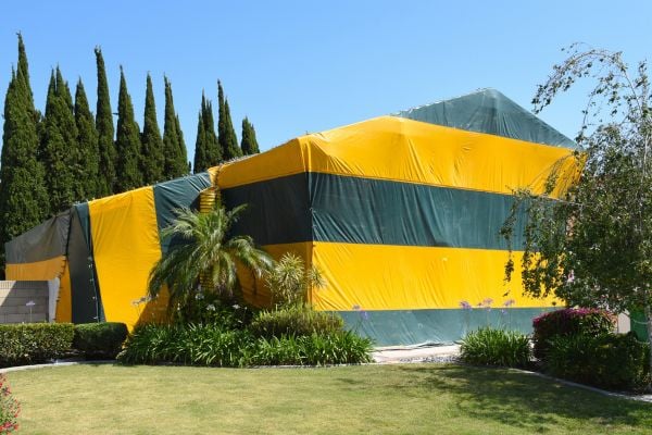 Termite fumigation