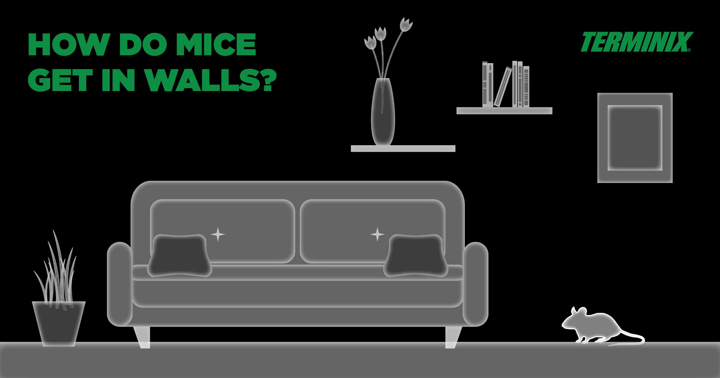 mice in walls