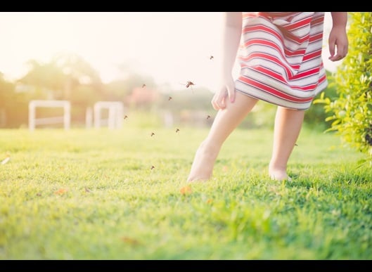 girl scratches her leg after a mosquito bite