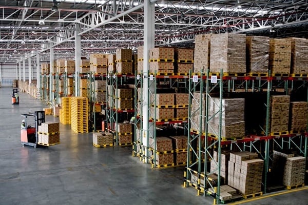 pests in warehouses