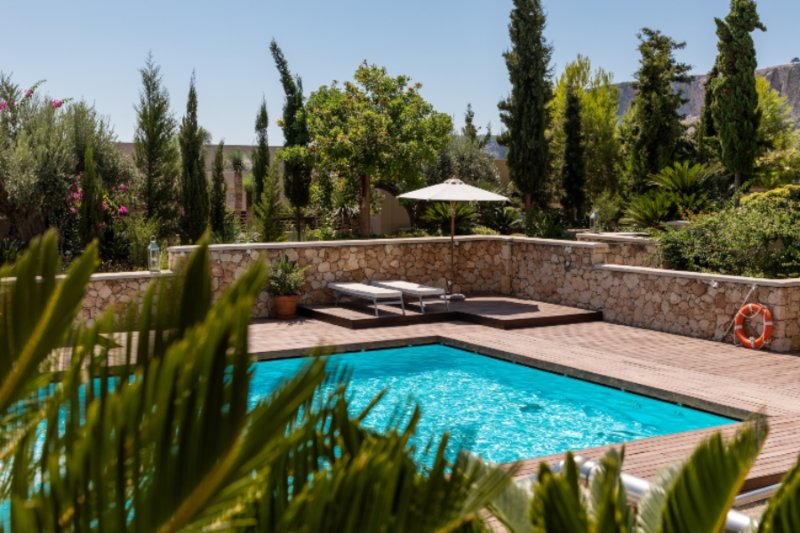 What To Do If There Are Flying Ants In Your Pool | Terminix