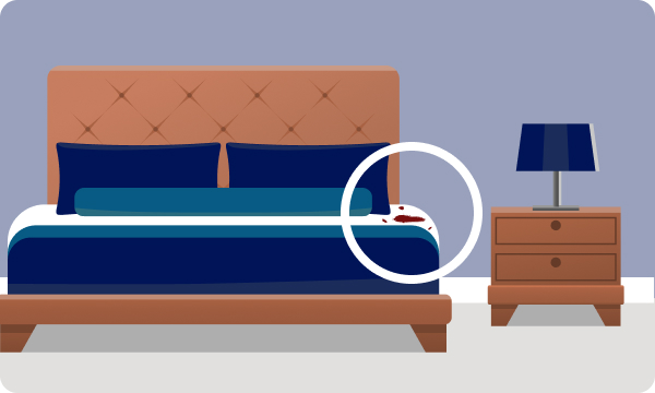 Bed bug crawling on a bed illustration