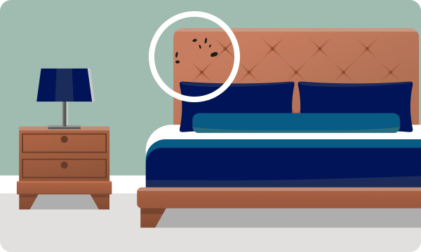Bed bug fecal spots on bed headboard illustration