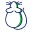 Rodent