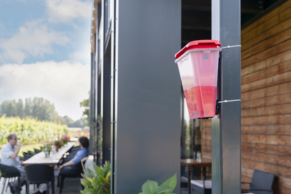 Outdoor fly trap mounted on a support pillar near a patio seating area