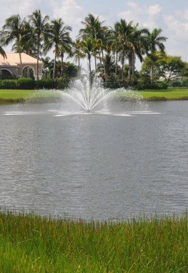 A lake with a fountain, surrounded by palm trees and houses