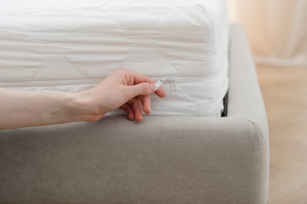 mattress cover for bed bugs