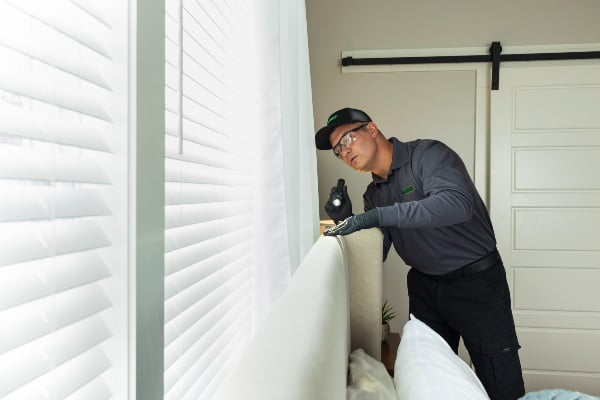 bed bug inspector