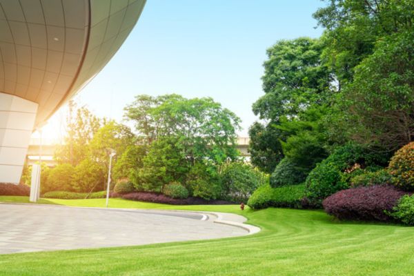 vegetation management