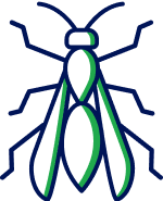 Wasp icon