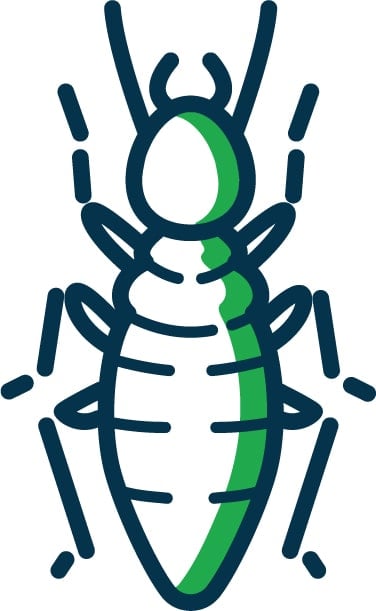 termite icon