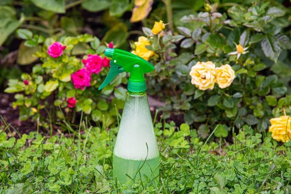 DIY bee spray