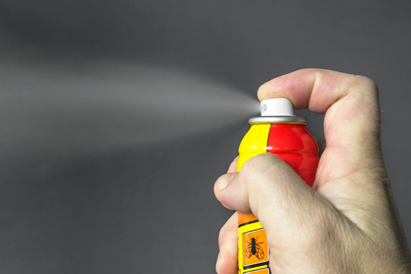 Homemade bee spray