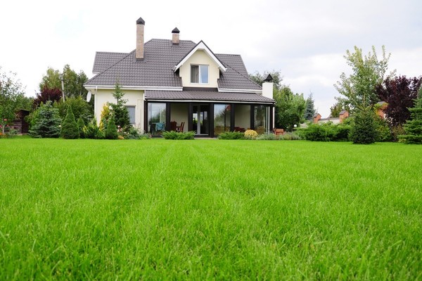 front yard of home