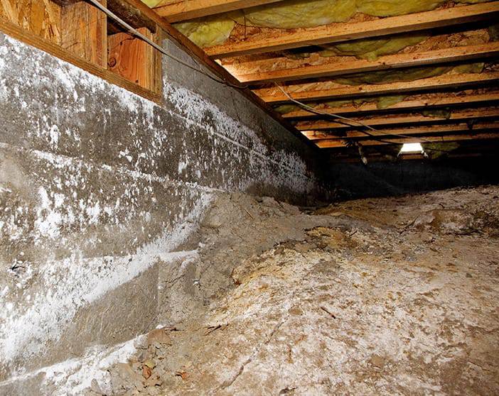 crawl space