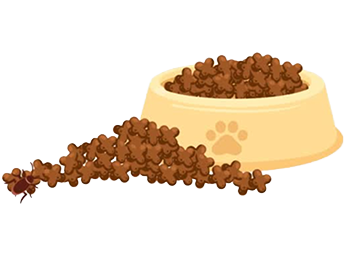 Pet Food