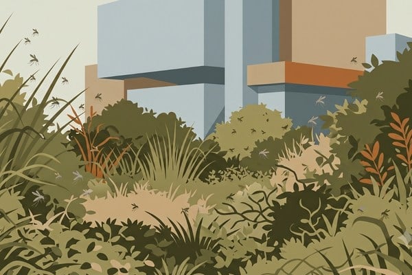 dense overgrown bushes