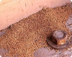 Termite Droppings