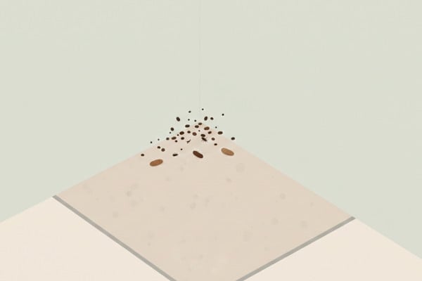 roach droppings