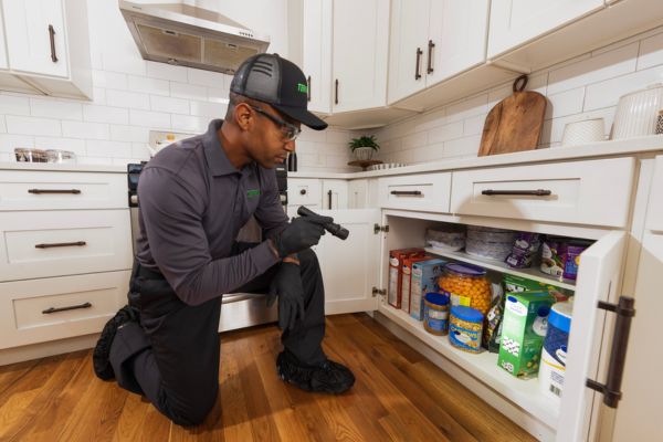 tech inspecting cabinet