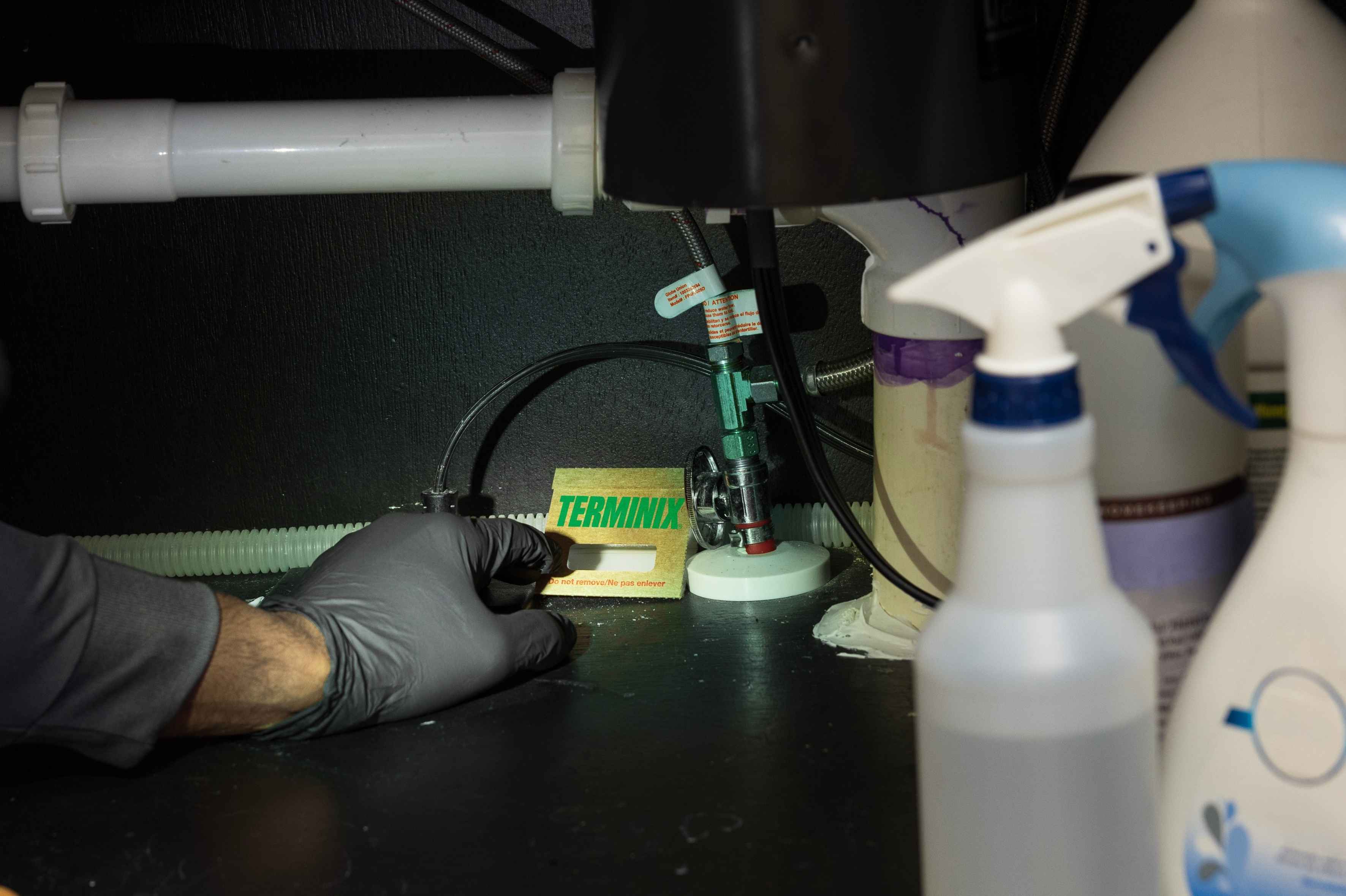 Technician placing a Terminix glue trap under a sink