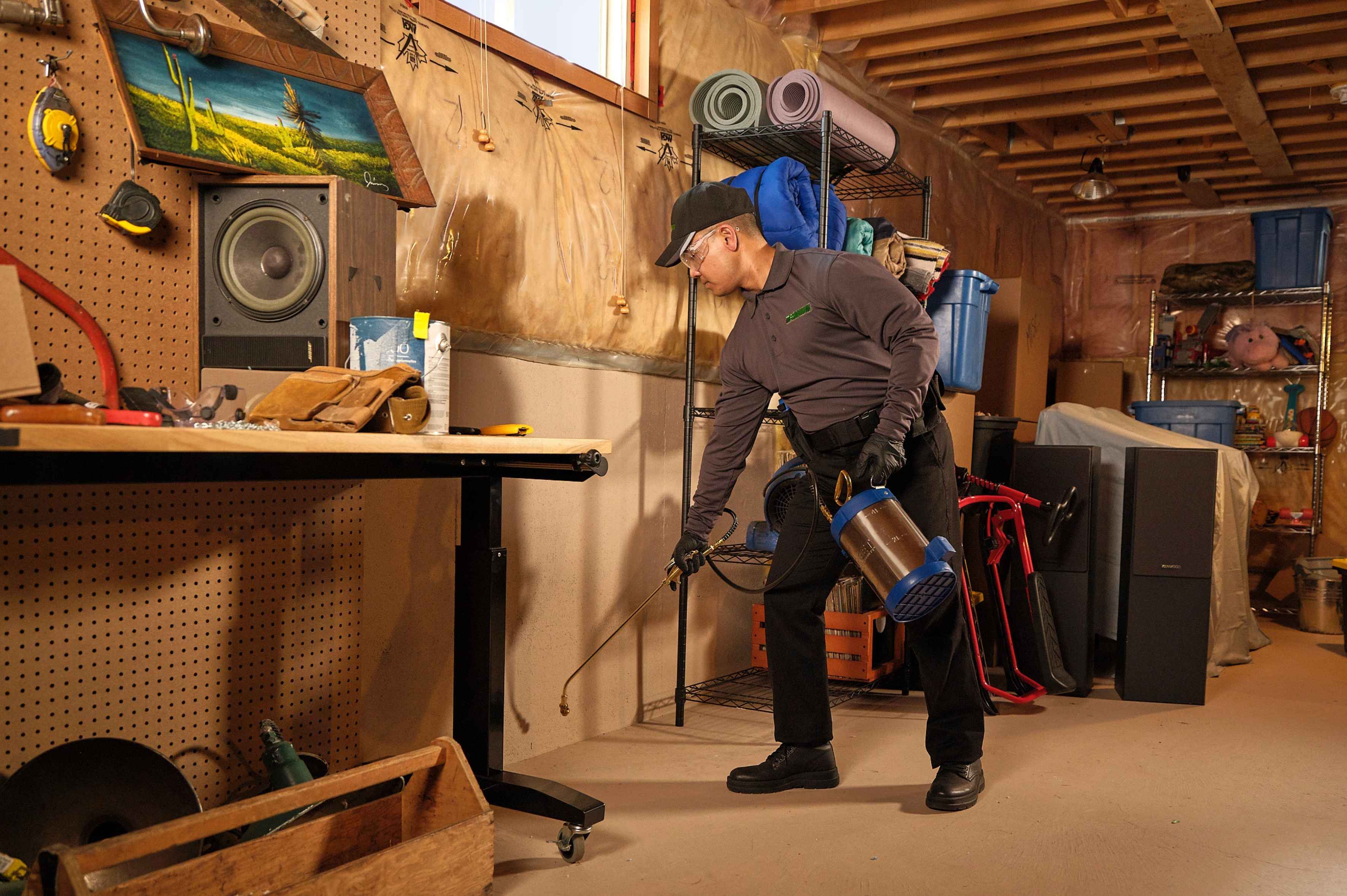 Pest control technician applying spray along an interior basement wall