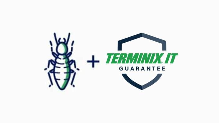 Termite icons plus Terminix it Guarantee icon