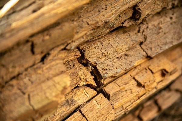 Close up of cubical brown rot
