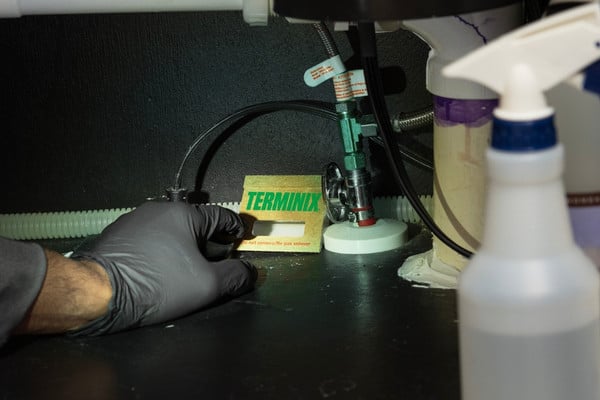A close-up shot of a gloved hand placing a green and yellow Terminix-branded cardboard glue trap on the dark floor of a cabinet under a sink, near water pipes and a spray bottle.