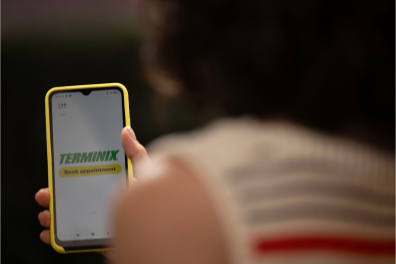 woman viewing Terminix website on mobile smart phone