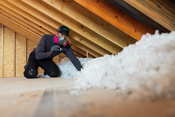attic insulation inspection