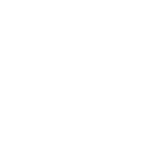 Search Icon