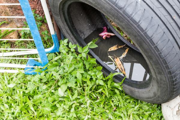 stagnant water in tire