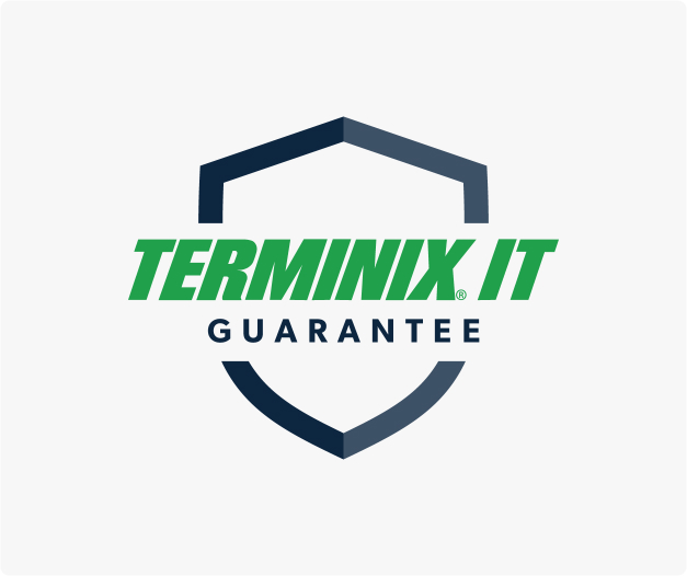Terminix It Guarantee