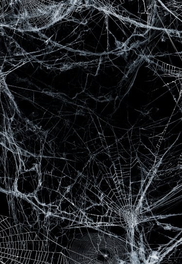 White cobwebs on black background