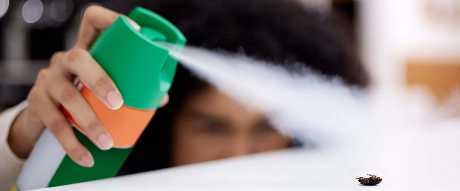 person spraying cockroach with insecticide spray