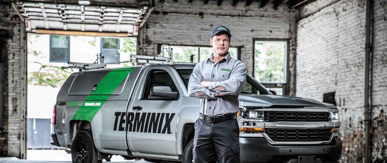 Terminix Bug Control Commercial Bed Bug Treatment | Terminix