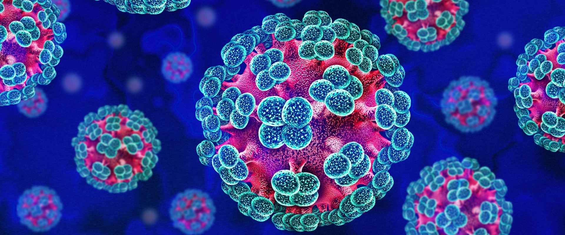 hantavirus molecules