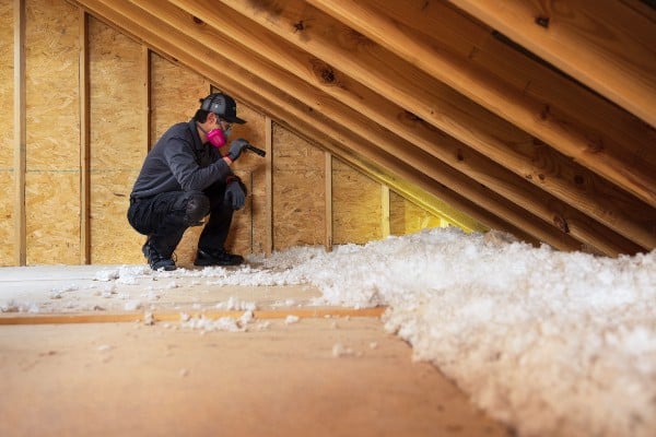 Attic inspection
