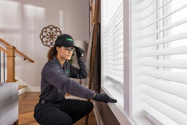 Tech inspecting property for infestation