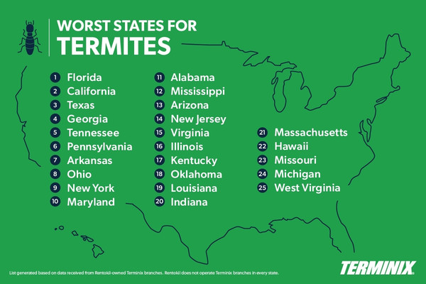 2026 Top Termite States Infographic