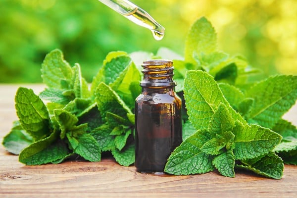 Peppermint oil